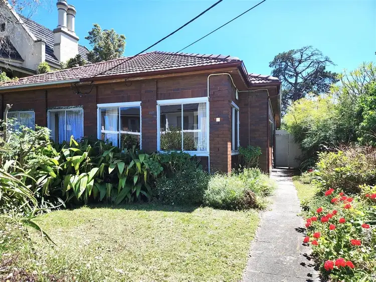 77 Palace Street, Ashfield NSW 2131