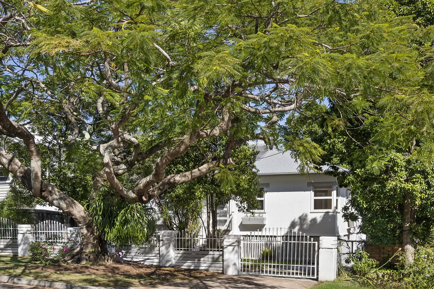 Main view of Homely house listing, 20 Castor Road, Wavell Heights QLD 4012