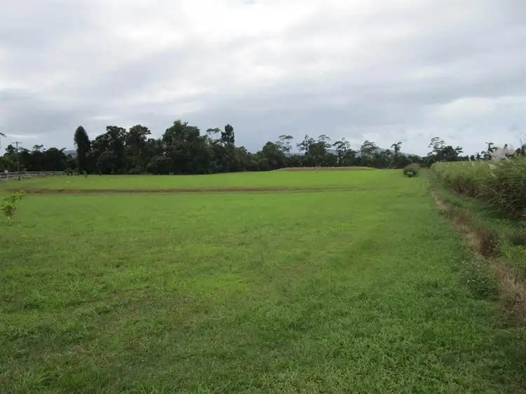 Fourth view of Homely rural property listing, 7 Jubilee Road, Daradgee QLD 4860