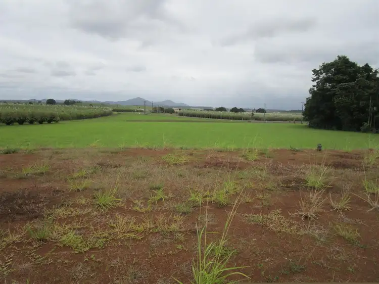 Sixth view of Homely rural property listing, 7 Jubilee Road, Daradgee QLD 4860