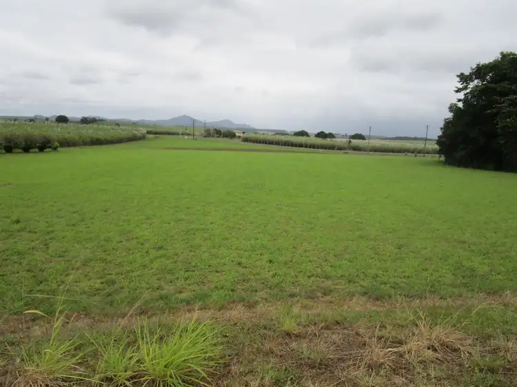 Seventh view of Homely rural property listing, 7 Jubilee Road, Daradgee QLD 4860