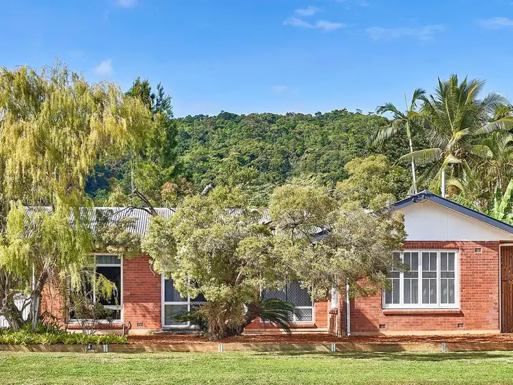 Main view of Homely house listing, 99 Kamerunga Street, Stratford QLD 4870