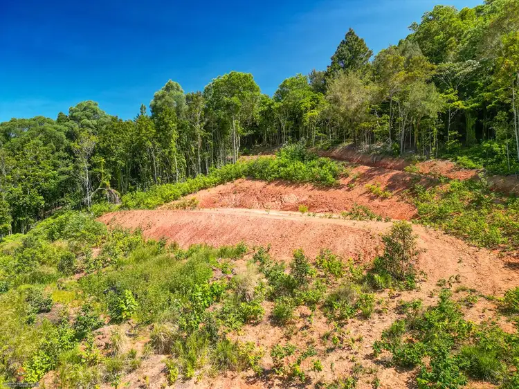 Third view of Homely rural property listing, Lot 11 Whitehead Road, Lower Cowley QLD 4871