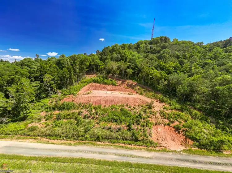 Fifth view of Homely rural property listing, Lot 11 Whitehead Road, Lower Cowley QLD 4871