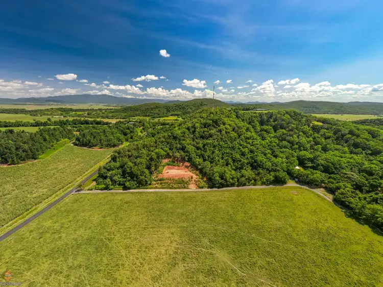 Seventh view of Homely rural property listing, Lot 11 Whitehead Road, Lower Cowley QLD 4871