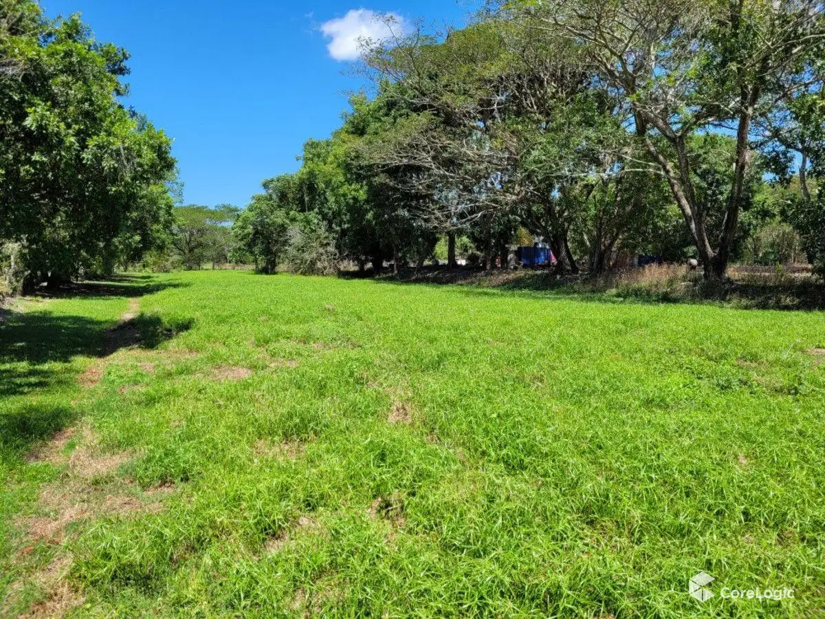 Main view of Homely land listing, 99 MCILWRAITH STREET, Ingham QLD 4850