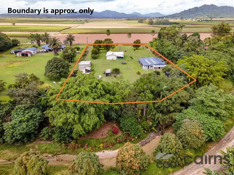 Seventh view of Homely rural property listing, 49 Musumeci Road, Mirriwinni QLD 4871