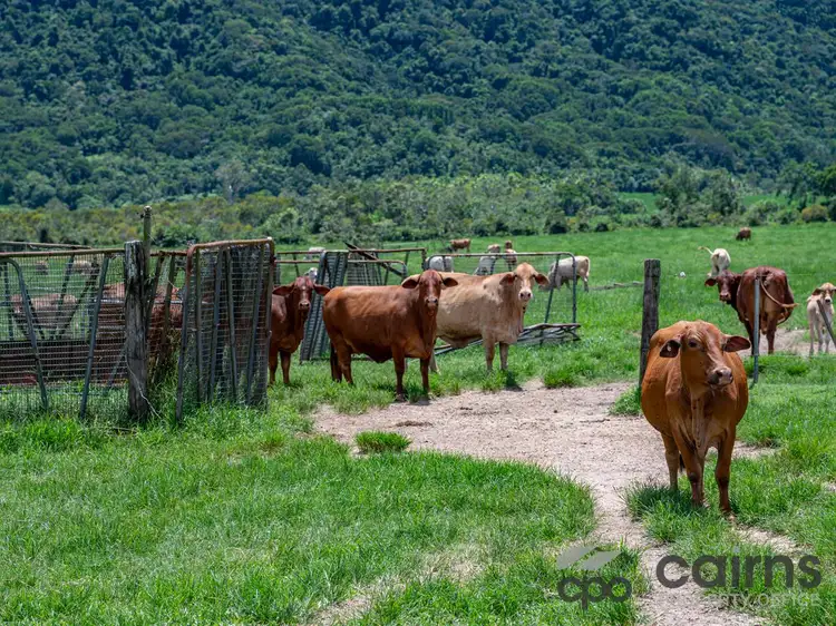 Proposed Lot 3/505 Mourilyan Harbour Road, Mourilyan Harbour QLD 4858