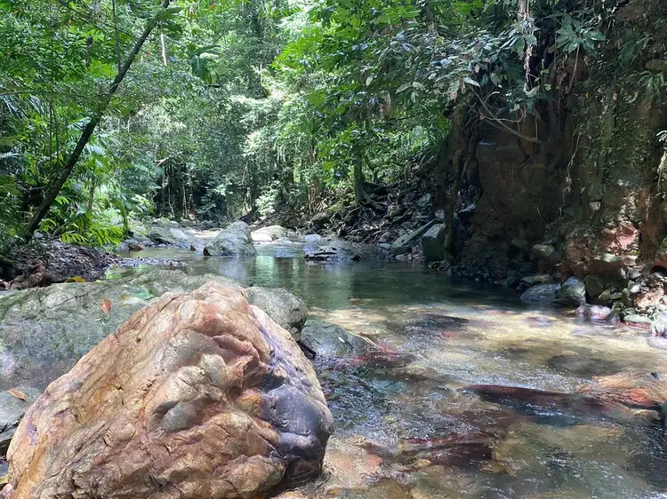 Sixth view of Homely land listing, 78-80 Cascades Drive, Redlynch QLD 4870