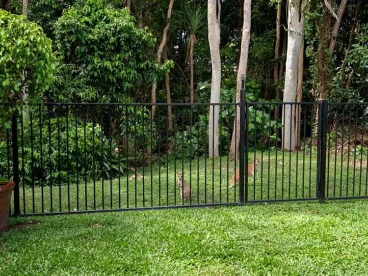 Fourth view of Homely house listing, 10 Ilse Close, Clifton Beach QLD 4879