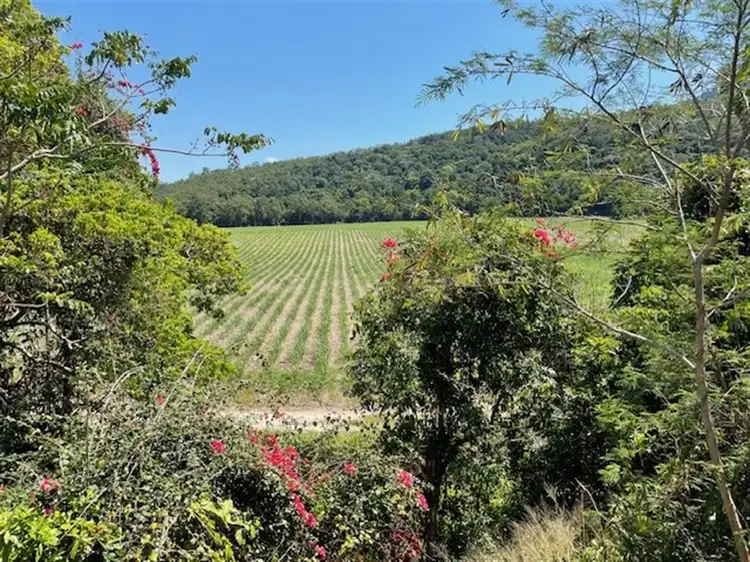 Seventh view of Homely rural property listing, Address available on request