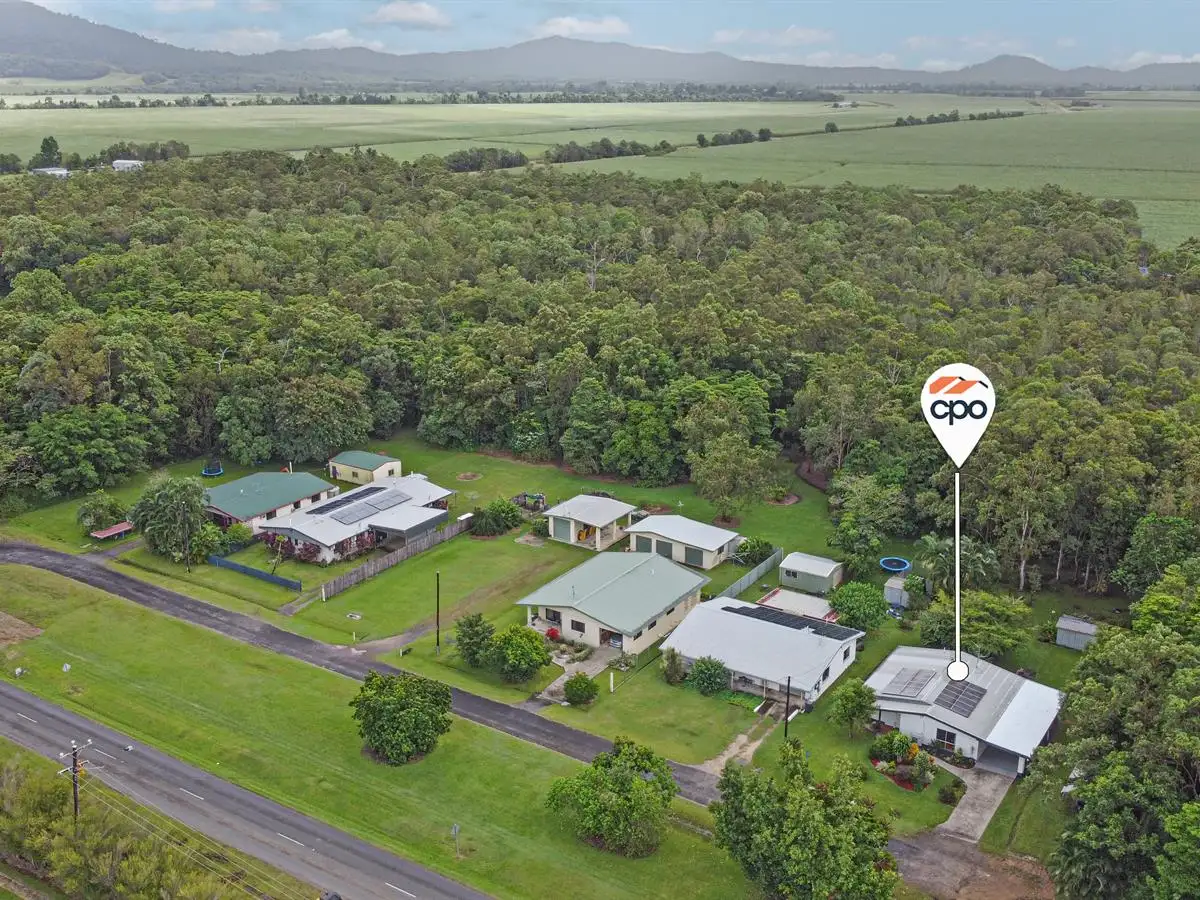 Main view of Homely house listing, 16 Victoria Street, Silkwood QLD 4856