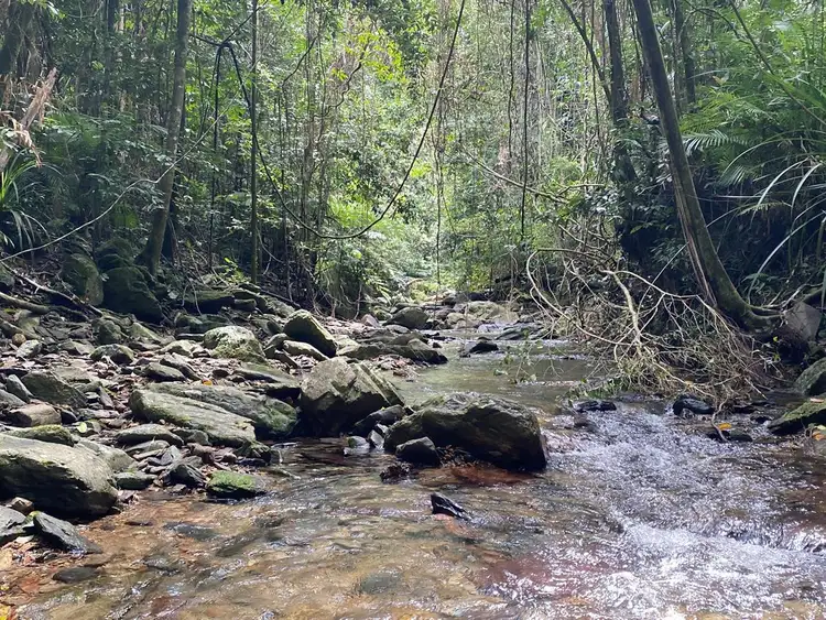 Seventh view of Homely land listing, LOT 1, 49-51 Cascades Drive, Redlynch QLD 4870