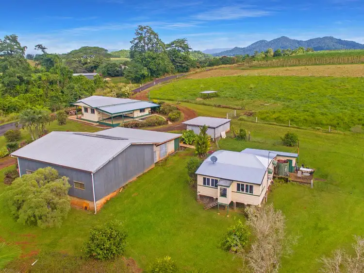 Seventh view of Homely house listing, 270 Utchee Creek Road, Utchee Creek QLD 4871