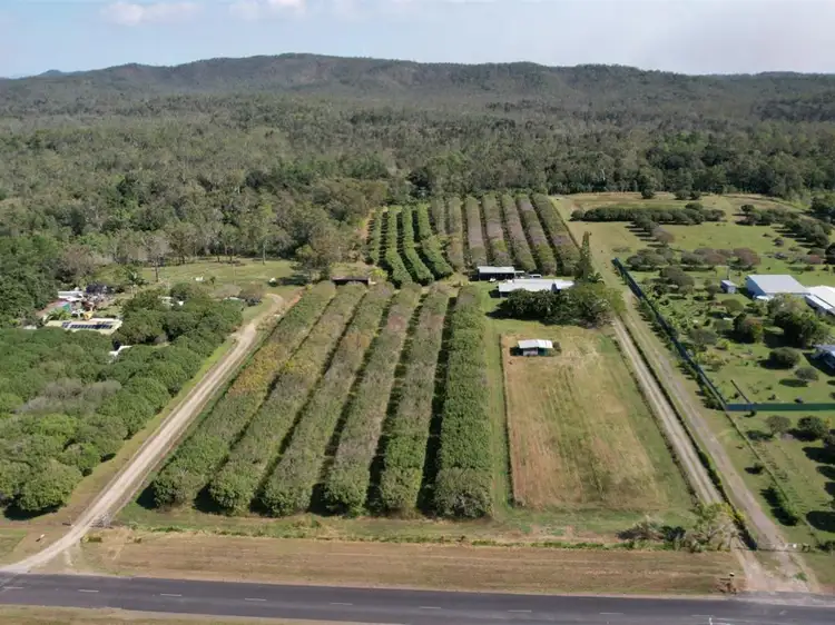 495 Koah Rd, Koah QLD 4881