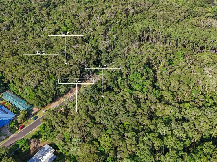 Lots 12,13,24 25 Christensen Road, Kuranda QLD 4881