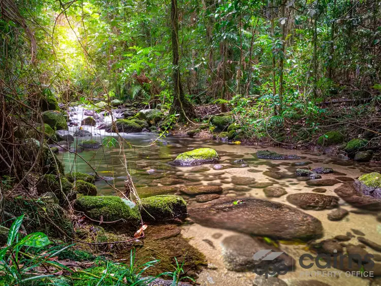 Fifth view of Homely rural property listing, 262 Boulders Road, Babinda QLD 4861