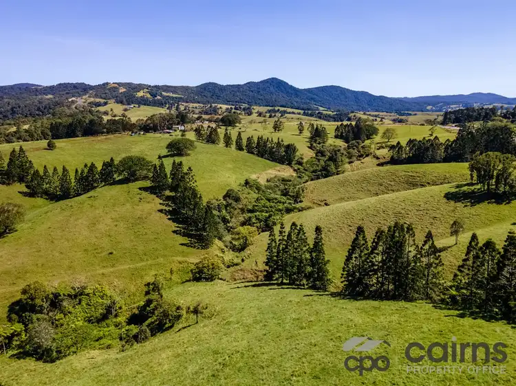 Main view of Homely rural property listing, 37-39 East Evelyn Road, Millaa Millaa QLD 4886