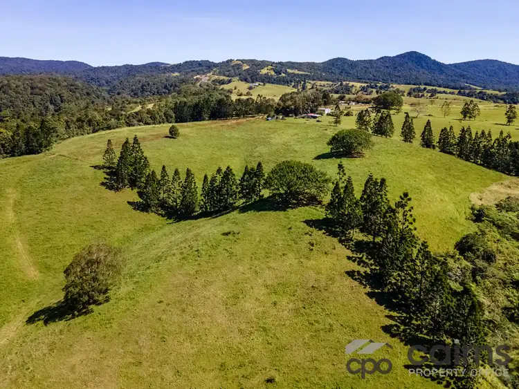 Fifth view of Homely rural property listing, 37-39 East Evelyn Road, Millaa Millaa QLD 4886