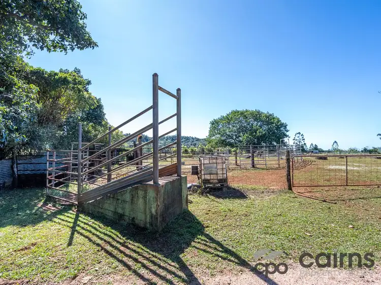 Sixth view of Homely rural property listing, 37-39 East Evelyn Road, Millaa Millaa QLD 4886