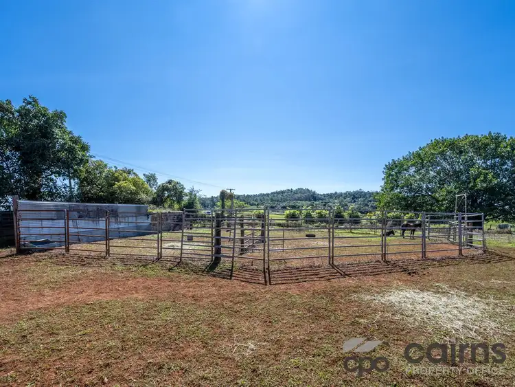 Seventh view of Homely rural property listing, 37-39 East Evelyn Road, Millaa Millaa QLD 4886