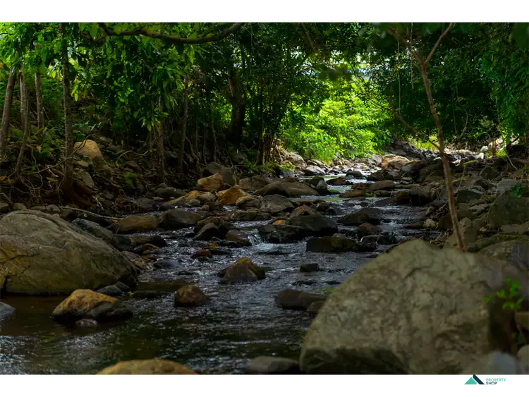 Third view of Homely land listing, Lot 335 Pinecrest, Mount Peter QLD 4869