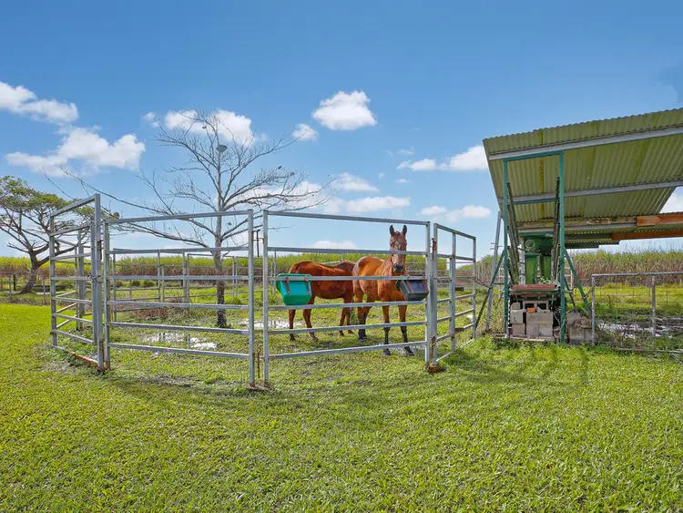 Fourth view of Homely rural property listing, Lot 1 Atherton Road, Silkwood QLD 4856