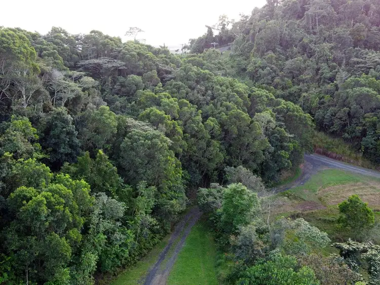 Seventh view of Homely rural property listing, 000 Poppi Road, Cowley QLD 4871