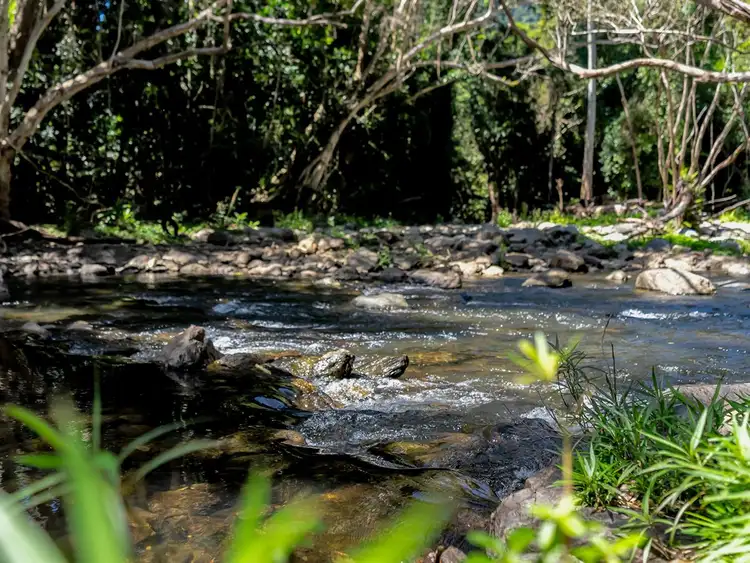 Third view of Homely house listing, 15 Cascades Drive, Redlynch QLD 4870