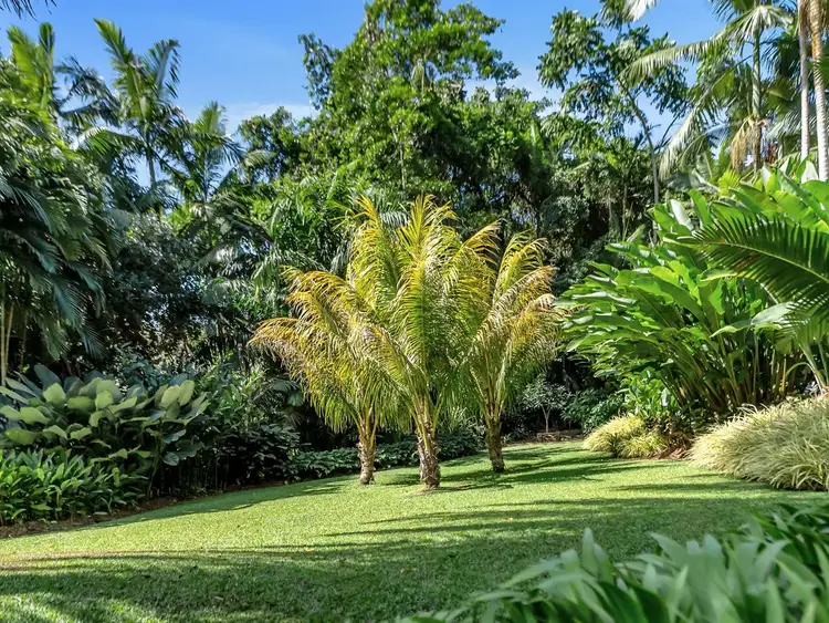 Sixth view of Homely house listing, 15 Cascades Drive, Redlynch QLD 4870