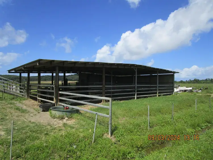 Second view of Homely rural property listing, 000 Gangemi Road, Cowley QLD 4871