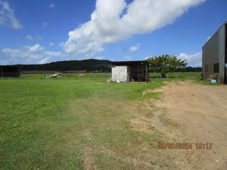 Seventh view of Homely rural property listing, 000 Gangemi Road, Cowley QLD 4871