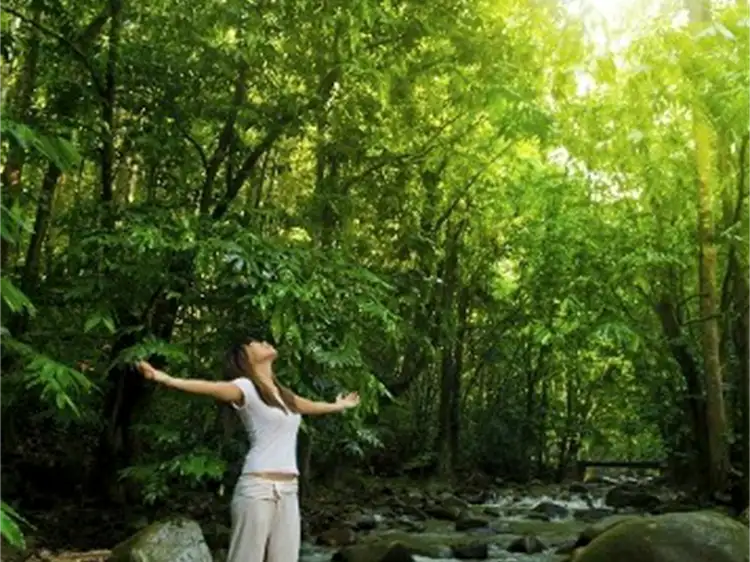 LOT 1, Lot 1 Discovery Drive, Kuranda QLD 4881