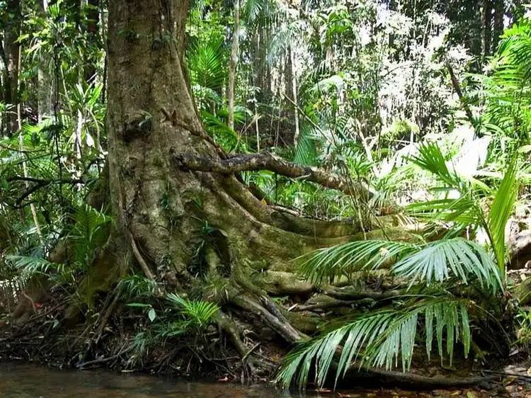 Third view of Homely land listing, LOT 9, Lot 9 Discovery Drive, Kuranda QLD 4881