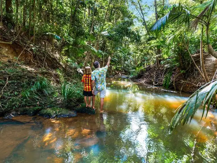 Second view of Homely land listing, LOT 8, Lot 8 Discovery Drive, Kuranda QLD 4881