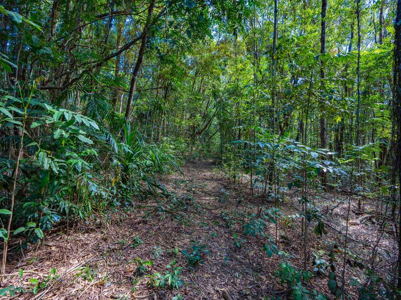 Main view of Homely land listing, LOT 5, Lot 5 Discovery Drive, Kuranda QLD 4881