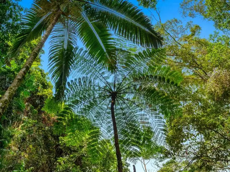 Second view of Homely land listing, LOT 5, Lot 5 Discovery Drive, Kuranda QLD 4881