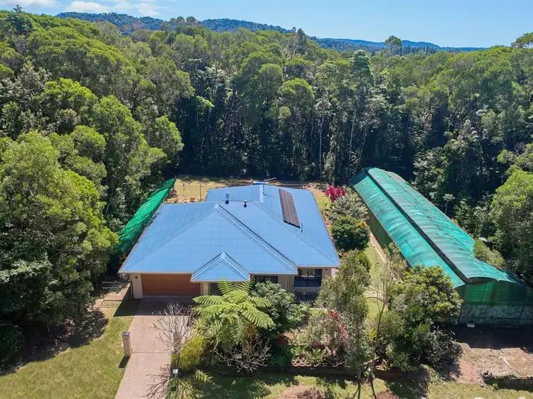 Main view of Homely house listing, 21 Christensen Road, Kuranda QLD 4881