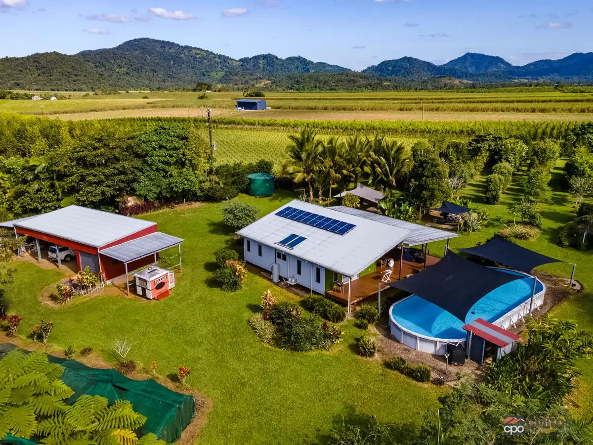 Main view of Homely rural property listing, 17 Watson Road, Bartle Frere QLD 4861