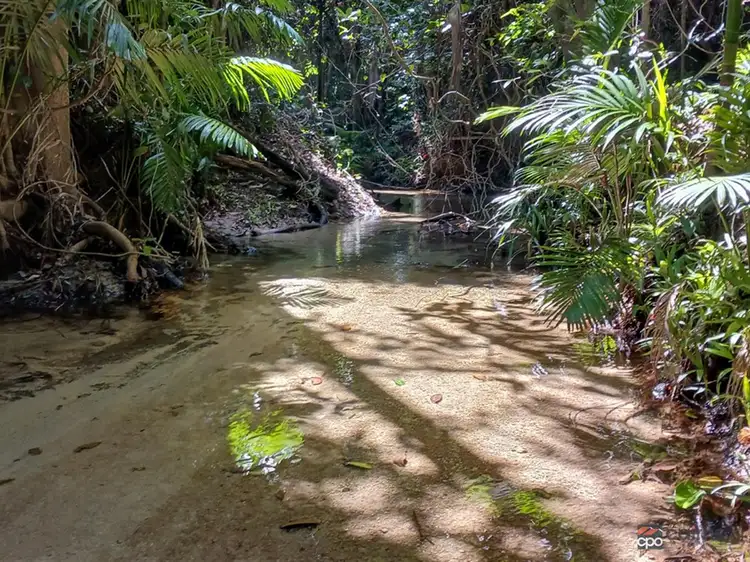 LOT 20 Barbagallo Road, Aloomba QLD 4871