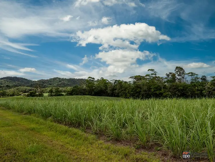 Sixth view of Homely rural property listing, Lot 7/229 Woopen Creek Road, Woopen Creek QLD 4871