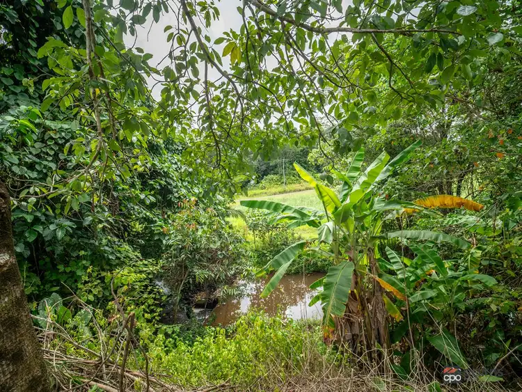 Seventh view of Homely rural property listing, Lot 7/229 Woopen Creek Road, Woopen Creek QLD 4871