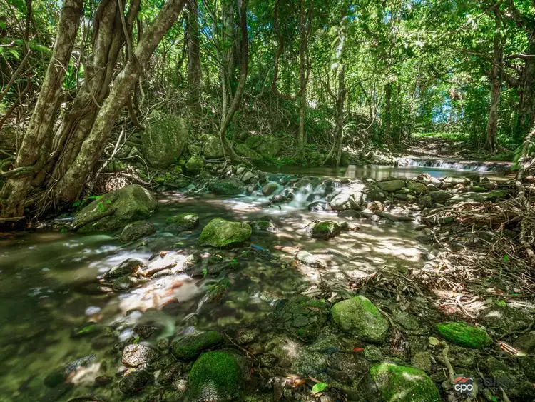 Seventh view of Homely land listing, LOT 5, 69295 Bruce Highway, Fishery Falls QLD 4871