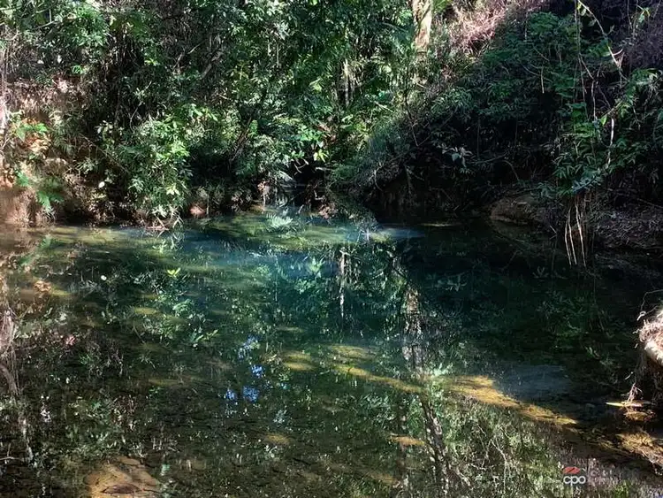 Second view of Homely rural property listing, 1049 Woopen Creek Rd, Woopen Creek QLD 4871