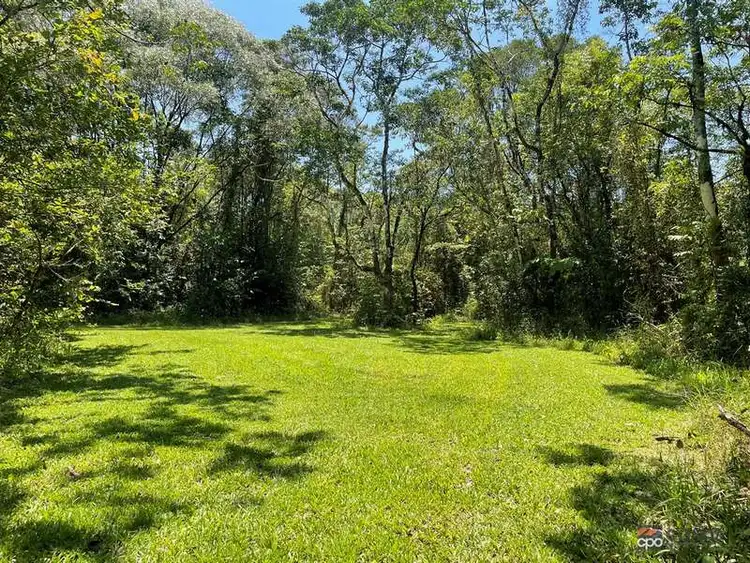 Sixth view of Homely rural property listing, 1049 Woopen Creek Rd, Woopen Creek QLD 4871