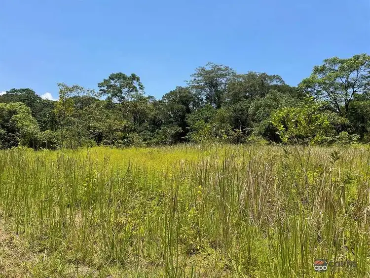 Seventh view of Homely rural property listing, 1049 Woopen Creek Rd, Woopen Creek QLD 4871