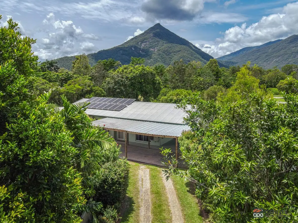 Main view of Homely house listing, 3 Radford Close, Gordonvale QLD 4865