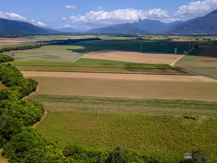 Seventh view of Homely land listing, 1 Napier Road, Gordonvale QLD 4865