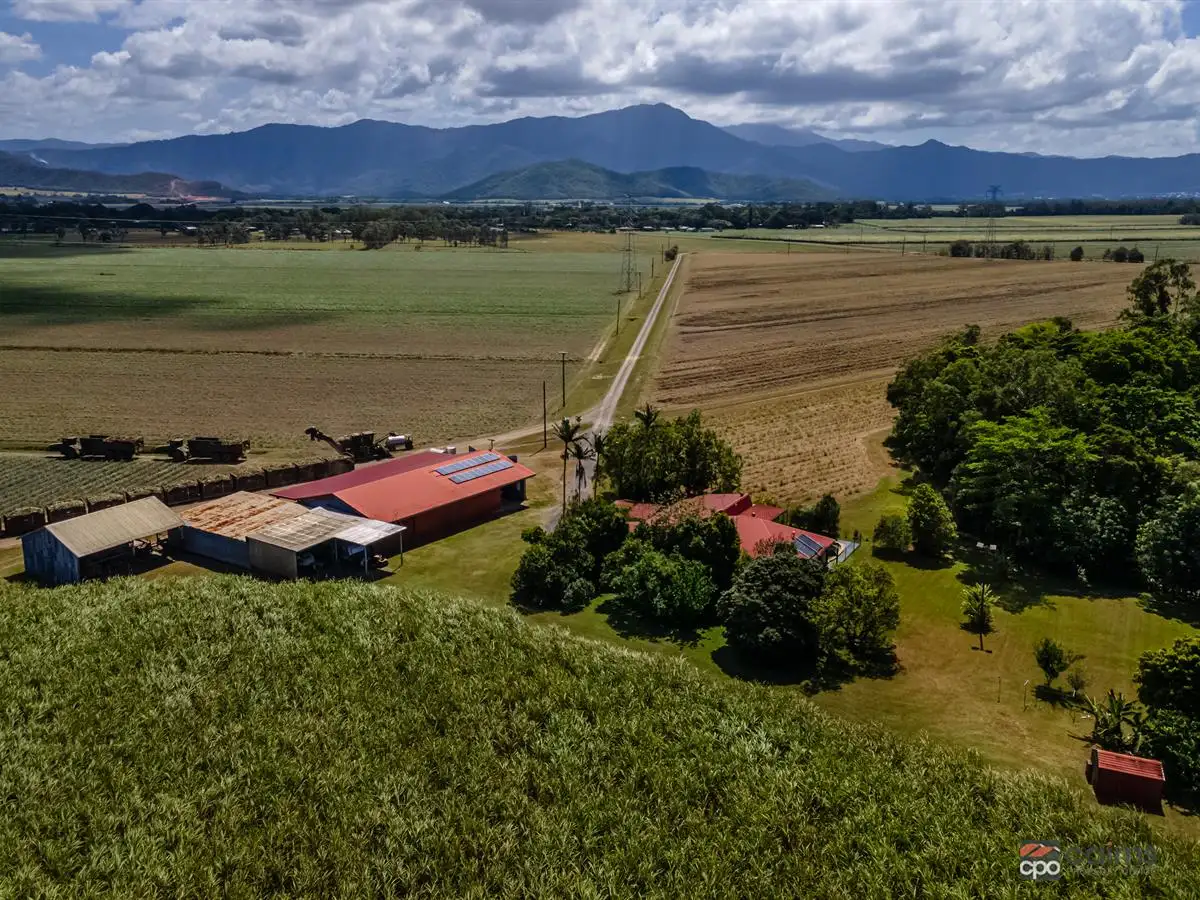 Main view of Homely rural property listing, 17 Napier Road, Green Hill QLD 4865