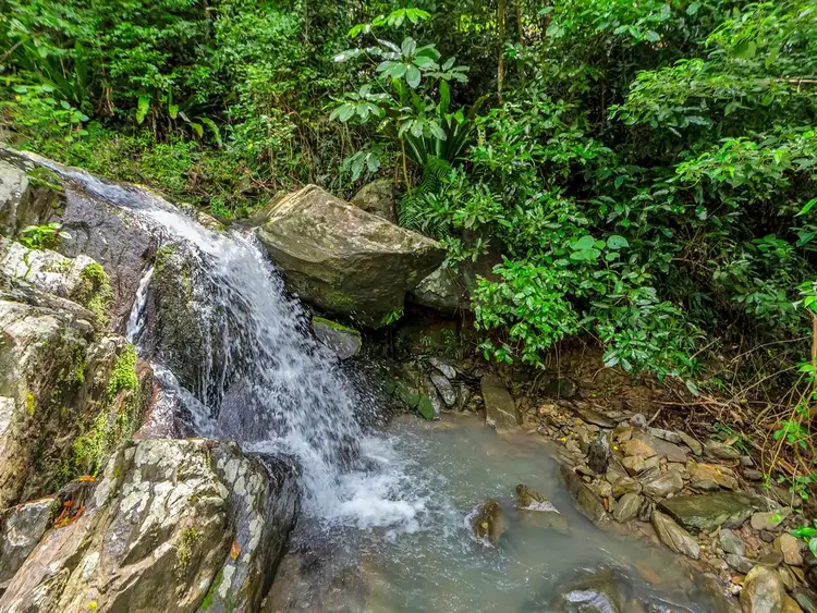 Second view of Homely house listing, 15-17 Mount William Close, Redlynch QLD 4870